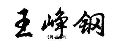 胡問遂王崢鋼行書個性簽名怎么寫