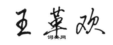 駱恆光王革歡行書個性簽名怎么寫