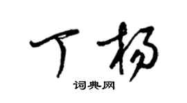 梁錦英丁楊草書個性簽名怎么寫