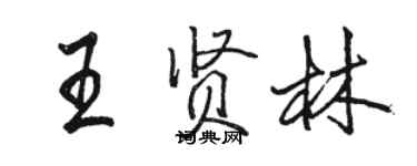 駱恆光王賢林行書個性簽名怎么寫