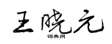 曾慶福王曉元行書個性簽名怎么寫