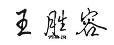 駱恆光王勝容行書個性簽名怎么寫