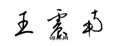 梁錦英王震南草書個性簽名怎么寫