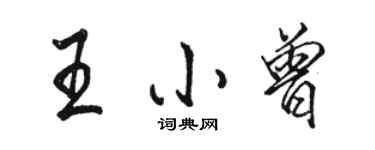 駱恆光王小曾行書個性簽名怎么寫