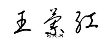 梁錦英王蘭紅草書個性簽名怎么寫