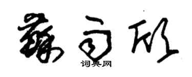朱錫榮蘇雨欣草書個性簽名怎么寫