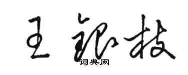 駱恆光王銀枝草書個性簽名怎么寫