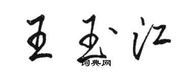 駱恆光王玉江行書個性簽名怎么寫