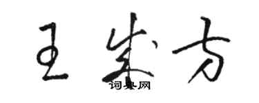 駱恆光王成方草書個性簽名怎么寫