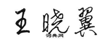 駱恆光王曉翼行書個性簽名怎么寫