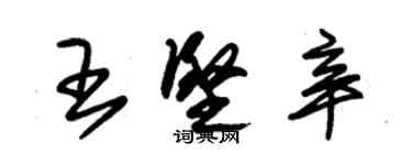 朱錫榮王堅辛草書個性簽名怎么寫