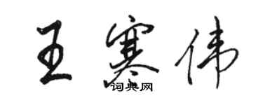 駱恆光王寒偉行書個性簽名怎么寫