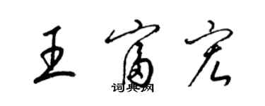 梁錦英王富宏草書個性簽名怎么寫