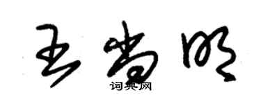 朱錫榮王尚明草書個性簽名怎么寫