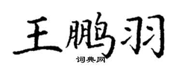 丁謙王鵬羽楷書個性簽名怎么寫