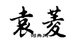 胡問遂袁菱行書個性簽名怎么寫