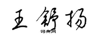 梁錦英王舒揚草書個性簽名怎么寫