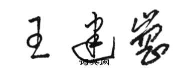 駱恆光王建崗草書個性簽名怎么寫