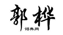 胡問遂郭樺行書個性簽名怎么寫