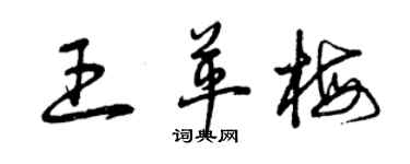 曾慶福王革梅草書個性簽名怎么寫