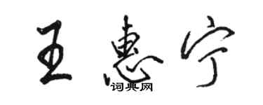 駱恆光王惠寧行書個性簽名怎么寫