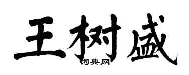翁闓運王樹盛楷書個性簽名怎么寫