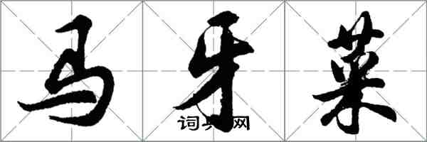 胡問遂馬牙菜行書怎么寫