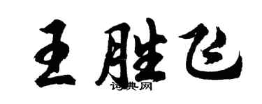 胡問遂王勝飛行書個性簽名怎么寫