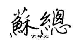 王正良蘇總行書個性簽名怎么寫