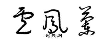 曾慶福盧鳳蘭草書個性簽名怎么寫