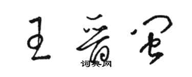 駱恆光王晉閩草書個性簽名怎么寫