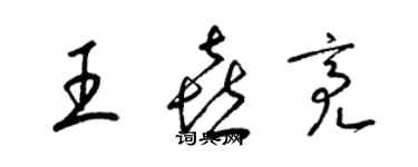 梁錦英王喜亮草書個性簽名怎么寫