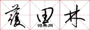 梁錦英護田林草書怎么寫