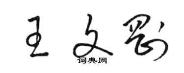 駱恆光王文剛草書個性簽名怎么寫