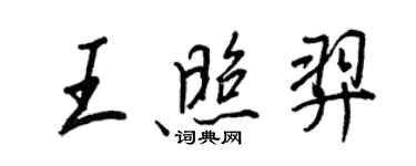 王正良王照羿行書個性簽名怎么寫