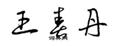 曾慶福王春丹草書個性簽名怎么寫