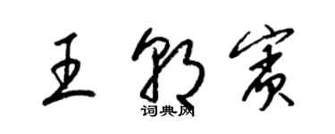 梁錦英王朝賓草書個性簽名怎么寫