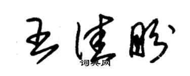 朱錫榮王佳盼草書個性簽名怎么寫