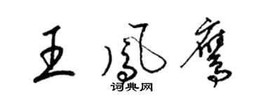 梁錦英王鳳鷹草書個性簽名怎么寫