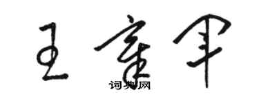 駱恆光王章軍草書個性簽名怎么寫