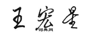 駱恆光王宏星行書個性簽名怎么寫