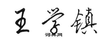 駱恆光王學鎮行書個性簽名怎么寫