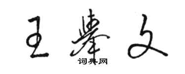 駱恆光王舉文草書個性簽名怎么寫