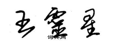 朱錫榮王靈星草書個性簽名怎么寫