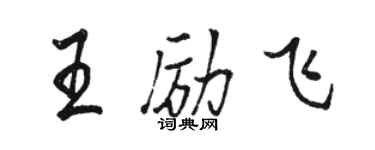 駱恆光王勵飛行書個性簽名怎么寫