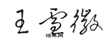 駱恆光王雪徽草書個性簽名怎么寫