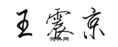 駱恆光王震京行書個性簽名怎么寫