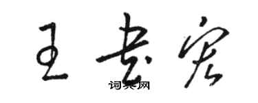 駱恆光王書宏草書個性簽名怎么寫