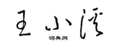 駱恆光王小溪草書個性簽名怎么寫