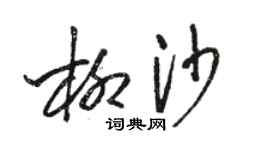 駱恆光柳沙草書個性簽名怎么寫